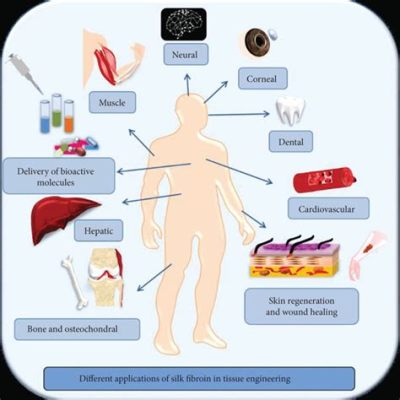  Silk Fibroin: Revolutionary Biomaterial for Advanced Tissue Engineering Applications and Regenerative Medicine