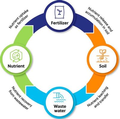 Vetch: Unveiling its Versatility as a Sustainable Feed and Biofertilizer!