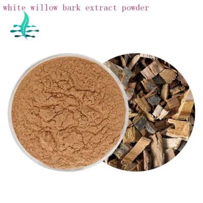 Willow Bark Extract: An Eco-Friendly Natural Dye and Bio-Based Antimicrobial Agent for Sustainable Textile Applications?