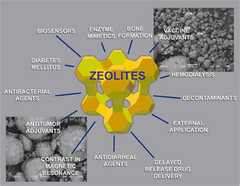 Zeolite: An Extraordinary Microporous Marvel for Biomedical Applications and Beyond!